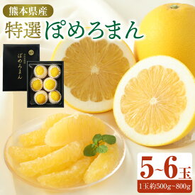 【ふるさと納税】特選ぽめろまん 5～6玉 化粧箱入 1玉約500g～600g 温室栽培 果物 フルーツ 柑橘 希少 文旦系の果物 みかん 玉名 国産 熊本県 送料無料 【2025年1月下旬発送開始】