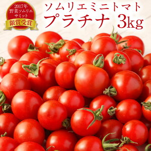 【ふるさと納税】熊本県 ソムリエミニトマト プラチナ 3kg ソムリエ トマト とまと ミニトマト 野菜 旬 新鮮 希少 高濃度 熊本県 冷蔵 送料無料 【2025年12月下旬発送開始】