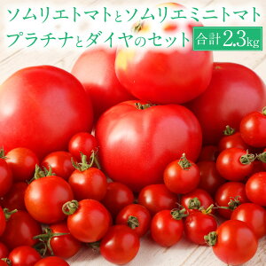 yӂ邳Ɣ[ŁzyHהׁzF{ \Gg}g1.3kgƃ\G~jg}g v`i500gƃ_C500g̃Zbg v2.3kg \G g}g Ƃ܂  { VN ~jg}g Zbg Hה 