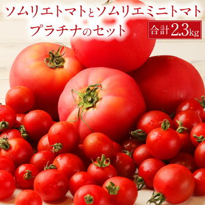 yӂ邳Ɣ[ŁzyHהׁzF{ \Gg}g1.3kgƃ\G~jg}g v`i1kg̃Zbg v2.3kg \G g}g Ƃ܂  { VN ~jg}g Zbg Hה F{ ① 