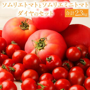 【ふるさと納税】【食べ比べ】熊本県 ソムリエトマト1.3kgとソムリエミニトマト ダイヤ1kgのセット 合計2.3kg ソムリエ トマト とまと 野菜 旬 新鮮 ミニトマト セット 食べ比べ 熊本県 冷蔵 送