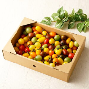 yӂ邳Ɣ[ŁzJt~jg}g1.5kg g}g  ~jg}g Ƃ܂  ①  B F{  yVX[p[SALE 9J