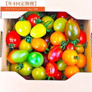 yӂ邳Ɣ[ŁzyN4ցzJt~jg}g1kg v4kg g}g Ƃ܂  ①  ~jg}g   B F{  yVX[p[SALE 9J