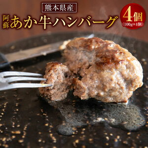 yӂ邳Ɣ[Łzh  no[O 4 100g×4    ԋ  a y O  Y Ⓚ B F{  yVX[p[SALE 9J