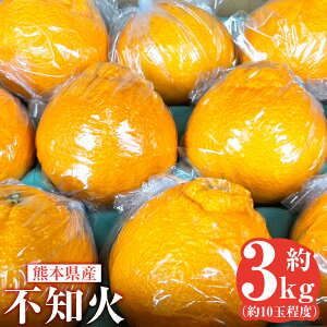yӂ邳Ɣ[Łzsm 3kg 10ʒx ~J  k t[c  ʕ ʂ ʎ Y 퉷 B F{  y2026N2{Jnz yVX[p[SALE 9J