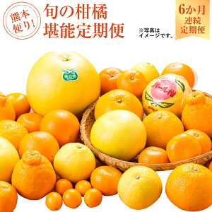 yӂ邳Ɣ[ŁzF{ւI{̊k\ ӔM n݂ LJ l[uIW XC[gXvO ͂邩 p[ fR| fR|[[DX nEX݂ ʕ t[