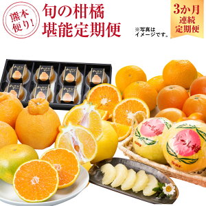 yӂ邳Ɣ[ŁzF{ւI {̊k\ fR| LJ l[uIW XC[gXvO ͂邩 p[ fR| fR|[[DX nEX݂ ʕ t[c k 