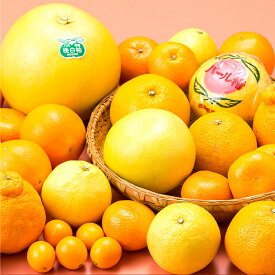 【ふるさと納税】熊本県産 柑橘果物食べ比べセット 柑橘 4種以上 詰合せ 詰め合わせ デコポン 晩白柚 パール柑 みかん スイートスプリング くだもの 果物 フルーツ 果実 九州 熊本県 送料無料 【2026年1月上旬発送開始】