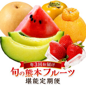 yӂ邳Ɣ[ŁzyN3ցzF{̐lCt[c\ցi1E5E10j ʕ t[c G  fR| XCJ  }XN  ` Zbg 3 Y F{Y F