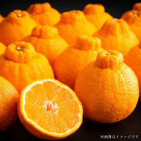 【ふるさと納税】 熊本県産 デコポン 約5kg 果物 フルーツ 柑橘類 みかん ミカン でこぽん 低温貯蔵 熟成 濃厚 旬 常温 九州 熊本県 送料無料 【2026年3月上旬発送開始】