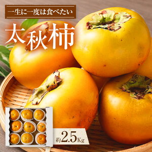 yӂ邳Ɣ[ŁzF{Y v~A H` 2.5kg 8`12 イ ` JL  ʕ  t[c 퉷 B F{  y2025N10{Jnz