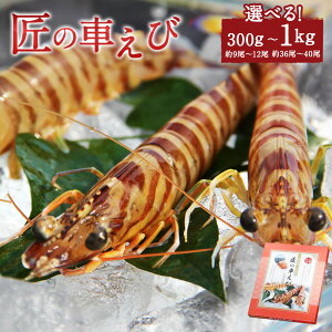yӂ邳Ɣ[Łẑ܂  ܂ 300g`1kg 9`40 Iׂe CV  ԊCV Ԃ CN  Vst Y ^pbN ϔ }Ⓚ Ⓚ B F{ 