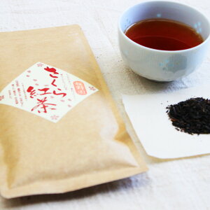 yӂ邳Ɣ[Łz쉀lC3{Zbg EgEꕟق v240g Β y ق g  {  _򉻊w엿sgp Mtg 蕨  Y B F{ 