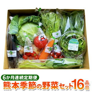 【ふるさと納税】【6か月連続定期便】熊本季節の野菜セット 16品目 定期便 全6回 6ヶ月 定期配送 野菜 セット やさい 新鮮 旬 詰合せ 詰め合わせ 冷蔵 九州 熊本県 送料無料
