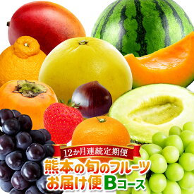 【ふるさと納税】【12か月連続定期便】熊本の旬の フルーツ お届け便(Bコース) 定期便 全12回 定期配送 フルーツ 果物 くだもの 定期 旬 冷蔵 九州 熊本県 送料無料