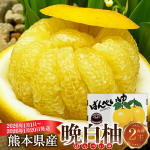 yӂ邳Ɣ[ŁzF{Y ӔM 2ʓ 2LTCY v4kg Eő勉 U{ MlXF k ΂؂ ʕ t[c   퉷 B F{  y2026N11`2