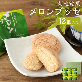 【ふるさと納税】菊池銘菓 メロンブッセ 九州産 1箱(12個入り) 菓子 お菓子 和菓子 洋菓子 銘菓 生菓子 菓子折り お茶菓子 メロン メロンクリーム クリーム ブッセ 化粧箱 冷蔵九州 熊本県 送料無料