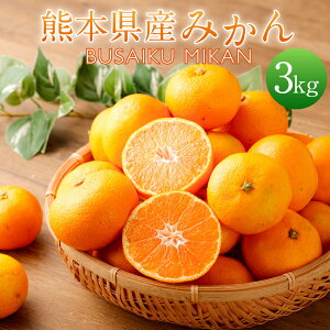 yӂ邳Ɣ[ŁzF{Y ݂ BUSAIKU MIKAN 3kg B݂ ~J  k t[c  ʕ ʎ 퉷 B F{  y2025N10{Jnz yVX[p[SALE 9J