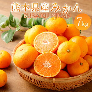 yӂ邳Ɣ[ŁzF{Y ݂ BUSAIKU MIKAN 7kg B݂ ~J  k t[c  ʕ ʎ 퉷 B F{  y2025N10{Jnz yVX[p[SALE 9J