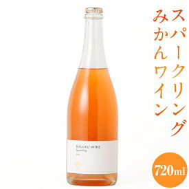 【ふるさと納税】スパークリング みかんワイン BUSAIKU WINE Sparkling 720ml 1本 辛口 温州みかん ワイン 酒 お酒 洋酒 発泡性 ミカン みかん 柑橘 飲み物 アルコール 冷蔵 九州 熊本県 送料無料