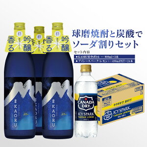 yӂ邳Ɣ[ŁzĒƒY_Ń\[_ZbgIKAORU{g 900ml×3{ { ACV[Xp[N 490mlPET×24{ r   AR[ 25x Ē Y_ \[_ Zbg Ē 