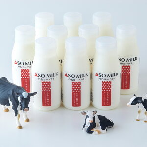 yӂ邳Ɣ[Łẑރ[Og200ml 10{Zbg v2L 2bg [Og hN[Og i ރ[Og  ①  B F{  yVX[p[SALE 9J