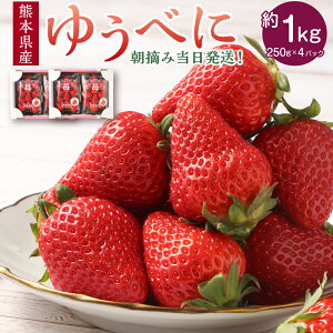 yӂ邳Ɣ[ŁzEݓIF{Yi䂤ׂɁj 1000g (250g×4pbNjt[c ʕ   F{uhi B F{  y2026N1{Jnz