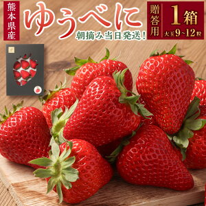 yӂ邳Ɣ[ŁzypzEݓIF{Yi䂤ׂɁji19~12ʁj F{uhi t[c ʕ ʎ   B F{  y2026N1{J