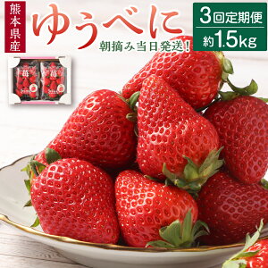 yӂ邳Ɣ[ŁzyN3ցzEݓIF{Yi䂤ׂɁj1500gi500g×3j F{uhi t[c ʕ ʎ     z S3 B F