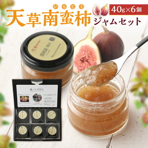 yӂ邳Ɣ[ŁzV؊`WZbg 40g×6 v240g W ԉ  C`WNW ԉʃW Zbg B F{ 