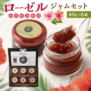 �y�ӂ邳�Ɣ[�Łz���[�[���i�n�C�r�X�J�X�j�W�����Z�b�g 40g×6�� ���v240g ���[�[���W���� �W���� �n�C�r�X�J�X �Z�b�g ��B �F�{�� ��������