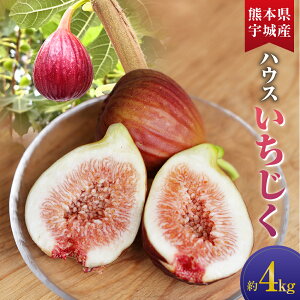 �y�ӂ邳�Ɣ[�Łz�n�E�X�C�`�W�N ��1kg�`��4kg (��250g×4�`16�p�b�N) �I�ׂ���e�� �t���[�c �ʕ� �ʎ� �������� ���ԉ� �n�E�X�͔| ������Е�t�@�[�� ���Y ��B �F�{�� �������� �y2026�N6����