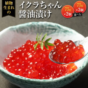 yӂ邳Ɣ[ŁzCN ݖЂ 75g×2 ܂ 3 Iׂe vgx[Xt[h RXe[[ ṽ[ IK3b_ 퉷ۑ sgp B F{ 