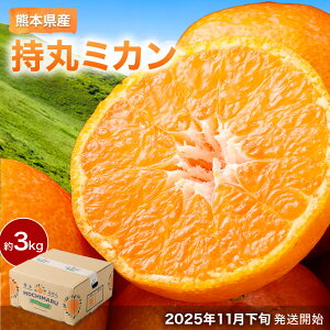 yӂ邳Ɣ[ŁzF{Yۃ~J 3L ݂  k t[c  ʕ ʎ B݂ y2023N؃\GẪ~JI茠܁z B F{  y2025N11