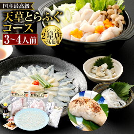 【ふるさと納税】【白子付】【大皿】国産最高級!!天草とらふぐコース 3～4人前 ふぐ 虎河豚 河豚 とらふぐ 魚介 魚貝類 切身 切り身 白子 刺し身 刺身 さしみ 皮 ふぐ皮 アラ 焼きひれ 焼ひれ 詰合せ 詰め合わせ 【2025年12月上旬発送開始】