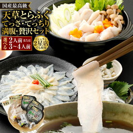 【ふるさと納税】国産最高級!!天草とらふぐてっさ・てっちり満腹・贅沢セット 2人前 または 3～4人前 選べる内容量 ふぐ 虎河豚 河豚 とらふぐ てっさ てっちり 魚介 魚貝類 セット 詰め合わせ 詰合せ 刺身 刺し身 皮刺し 切り身 冷凍
