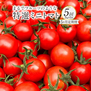 yӂ邳Ɣ[Łzy5Aցz܂Ńt[ĉ悤ȓI~jg}g 3kg×5 v15kg F{Y ~jg}g x g}g  F{Y B F{  y2026N1{Jnz