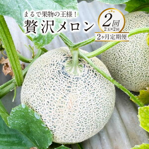 yӂ邳Ɣ[ŁzyN2ցz܂ŉʕ̉lIґ򃁃 2ʃZbg×2 v4 2Fy߂ʂȒ y2026N1{Jnzԓ  ԓ  F{Y t[