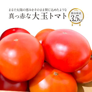 �y�ӂ邳�Ɣ[�Łz�܂�ő��z�̌b�݂����̂܂ܕ����߂��悤�Ȑ^���Ԃ� ��ʃg�}�g 3.5kg×1�� �F�{���Y�g�}�g �����x ��� �F�{�Y ��B �F�{�� �������� �y2026�N1�����{�����J�n�z