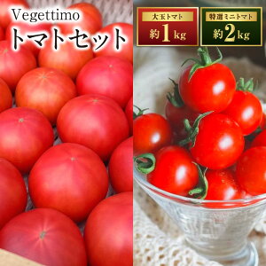 �y�ӂ邳�Ɣ[�ŁzVegettimo�g�}�g�Z�b�g ��ʃg�}�g1kg �{ ���I�~�j�g�}�g2kg (�F�{���Y) �y2026�N1�����{�����J�n�z �g�}�g �Ƃ܂� �~�j�g�}�g ��� �₳�� ���R�s�� �H�i �Z�b�g ��B �F�{�� �F