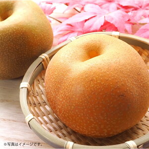 yӂ邳Ɣ[Łzg엜 L 5kg  t[c ʕ Ȃ iV a ① F{Y B F{  y2026N8{Jnz