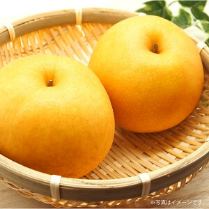 yӂ邳Ɣ[Łzg엜 V 5kg  t[c ʕ Ȃ iV ① F{Y B F{  y2025N9{Jnz yVX[p[SALE 9J