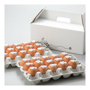 yӂ邳Ɣ[Łz͂p З LʃTCY 30i25+jۏ5j ܂ ^}S L ̂ꂽ  ͂  { VN Mtg  F{Y B F{ 