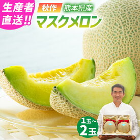 【ふるさと納税】【生産者直送】☆秋作☆マスクメロン 1玉（1.5kg以上） または 2玉（合計3kg以上） 10000円 ～ 13000円 1万円 ～ 1万3000円 選べる 果物 くだもの 果実 フルーツ メロン マスクメロン 青肉 九州 熊本県 送料無料 【2026年10月下旬発送開始】