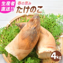 楽天市場】、徳島県、タケノコの通販