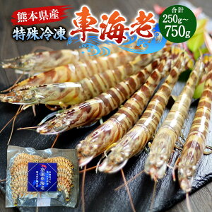 【ふるさと納税】【選べる内容量】特殊冷凍車海老 250g 〜 750g(9〜33尾) 海老 えび くるまえび 車海老 魚介 魚貝類 冷凍 海鮮 海の幸 九州 熊本県 送料無料