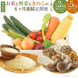 yӂ邳Ɣ[ŁzIׂeʁy6Aցzyߘa7NxYzF{ijŶĂƌF{Y̖؂Ƃ̂ āi2kg/5kgjE؁̂i7`8i/11`12ij  WKC