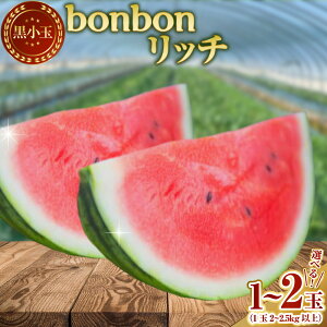 yӂ邳Ɣ[ŁzIׂeʁbonbonb` 1ʁi2.5kgȏjE2ʁi2kgȏ×2ʁj XCJ  Z  ʕ ʎ t[c  ̂ꂽ fU[g  F{Y Y 