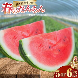 yӂ邳Ɣ[ŁzIׂeʁF{Y t̂ 5kgȏ / 6kgȏ o XCJ  Z  ʕ ʎ t[c  fU[g  F{Y Y B F{ 