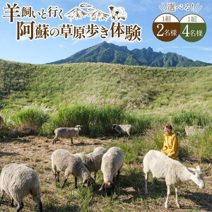 yӂ邳Ɣ[ŁzǏׂly̌61`930zrƍsh̑̌urp[gi[v 2l1g / 4l1g hƂ_ Ђ qcW  r 